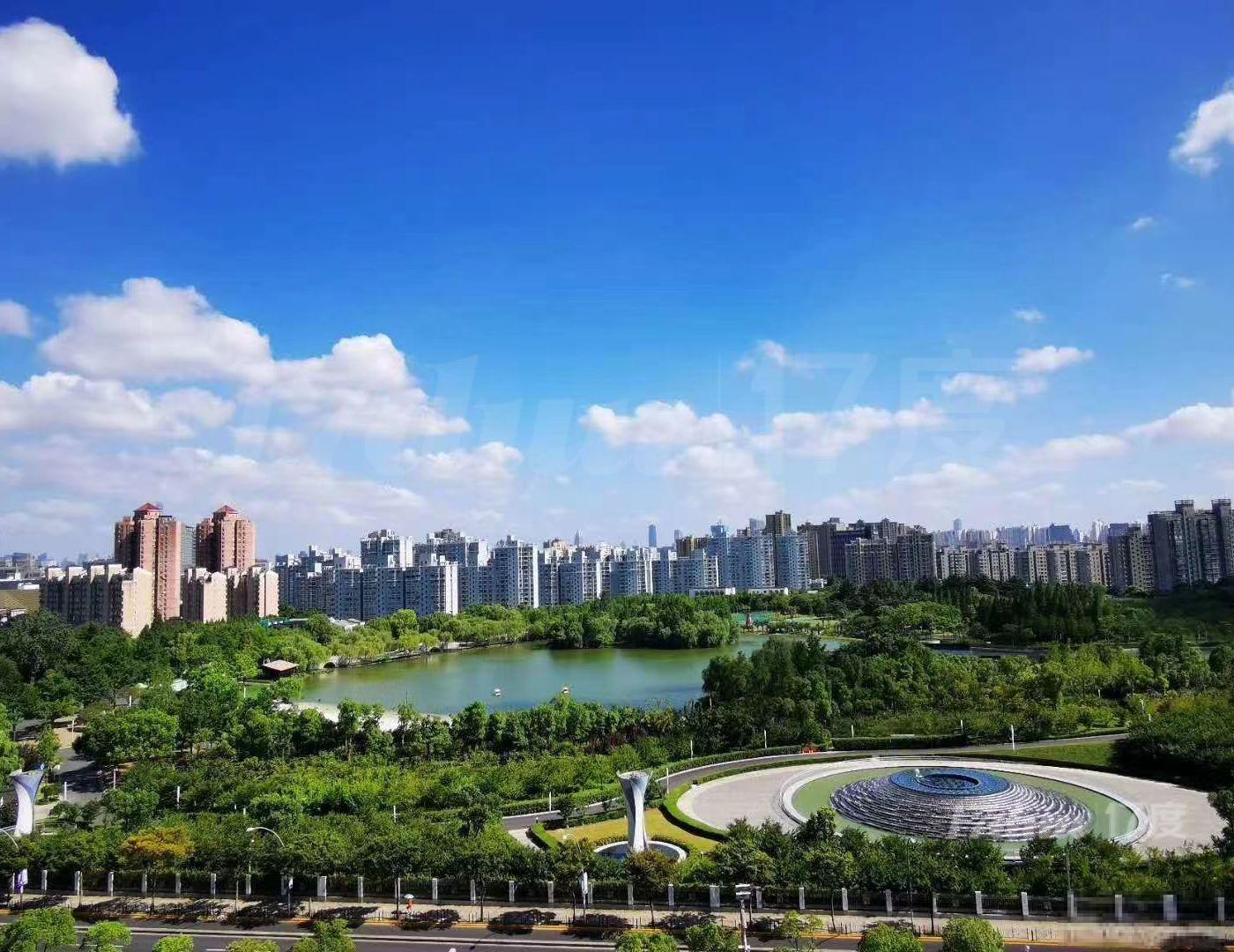 大宁郁金香公园，一流品质300多平，鲜氧自由呼吸，源源不断