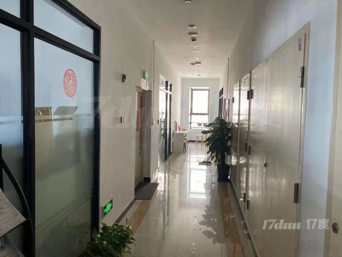 11号线嘉定新城站纯写字楼，精装修，整层，工位都有