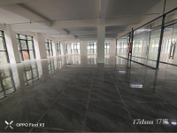 番禺区南村员岗标准厂房大小面积招租的可做办公，电商仓库，直播