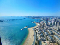 大连星海广场 无敌海景 豪华装修 每天都期待上班