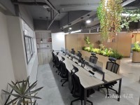 初创1~10人间  ，联合办公室出租 ，可注册  记账报税