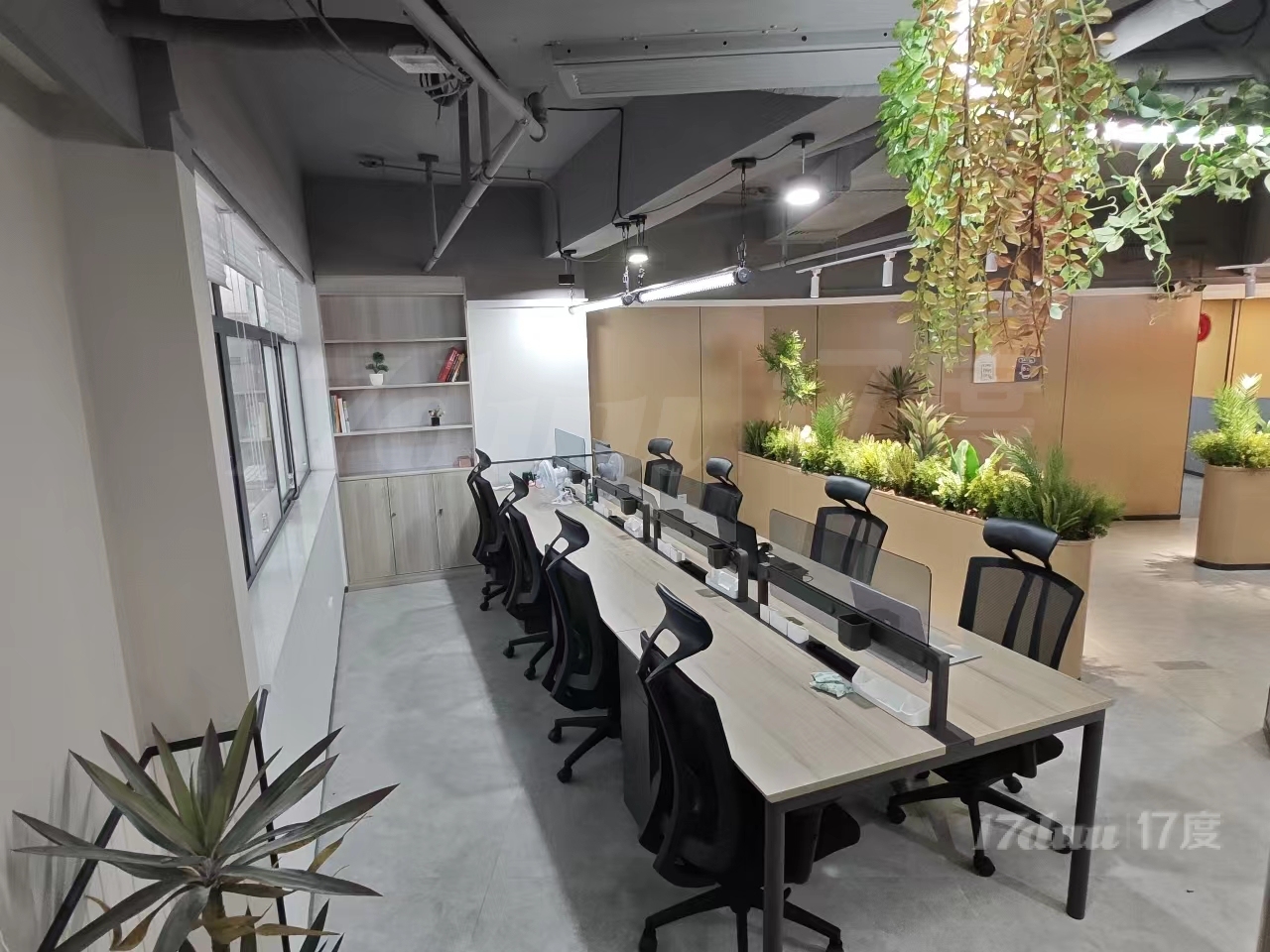 初创1~10人间  ，联合办公室出租 ，可注册  记账报税