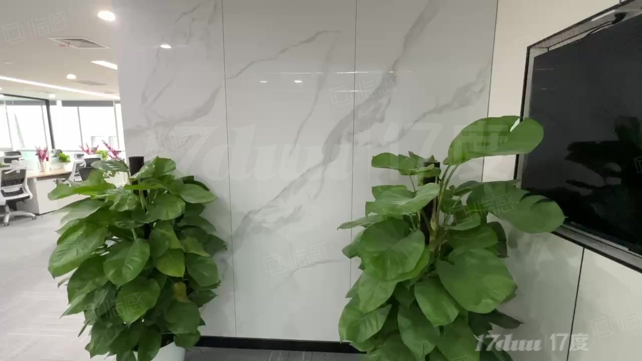 实拍照片全套家具 随时可看 神州数码大厦 100到500可选