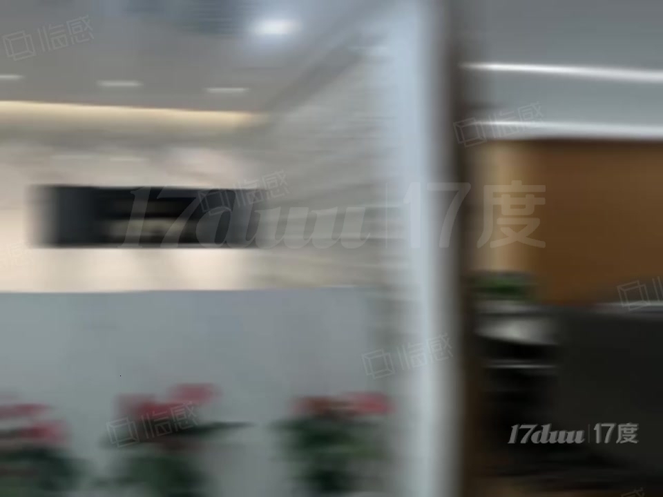 正对央视 国贸CBD 正对电梯 大气前台 富尔大厦 嘉里中心