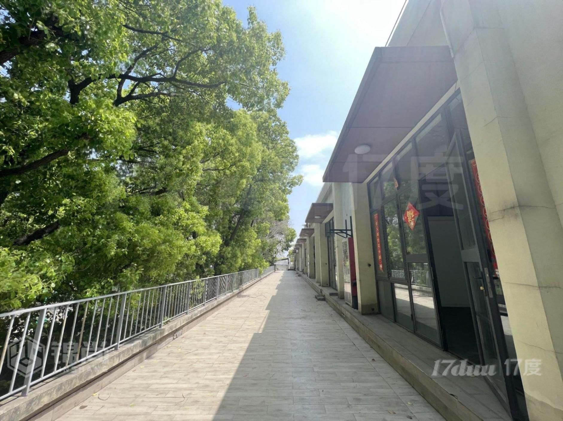 呼兰路，100得房率！租一层送一层，精装全配，带隔断间