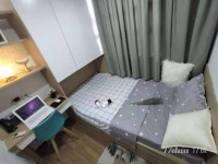 赤湾 近地铁 精装单间 公寓直租 拎包入住 免费网络