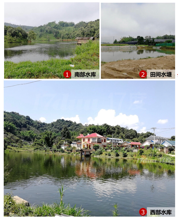 云南西双版纳勐海县国际旅游度假区项目转让