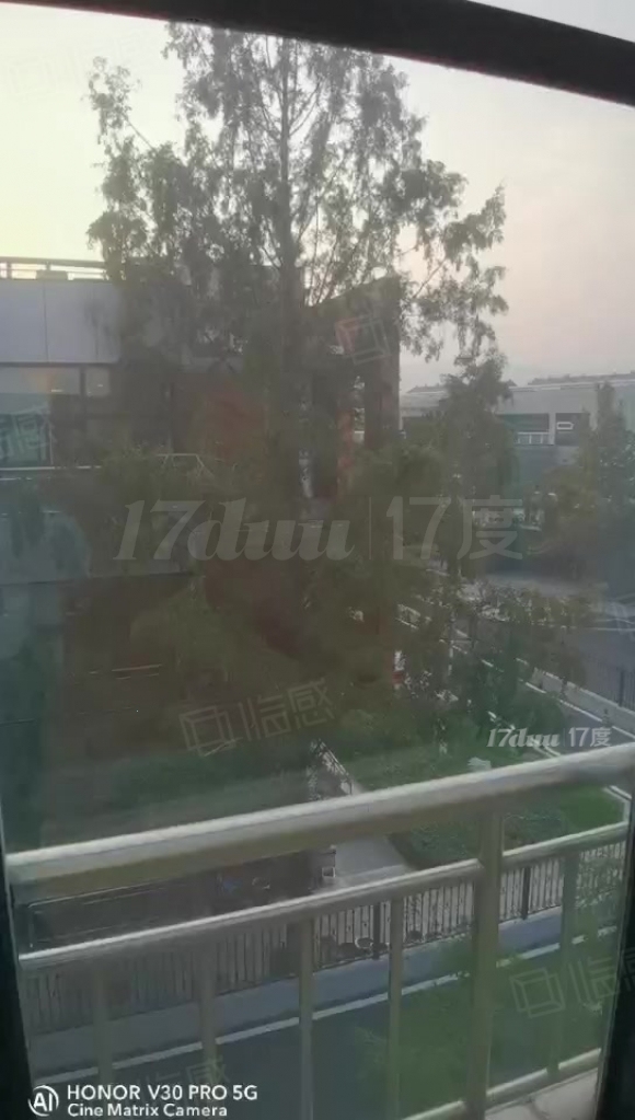 企业独栋国企上市公司选址大型园区环境优美55