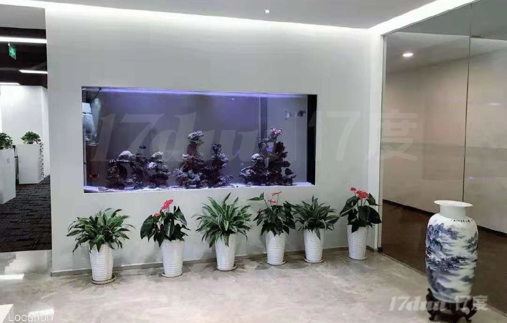 真实照片 知春路 中关村数字产业园 牡丹科技大厦 城建大厦