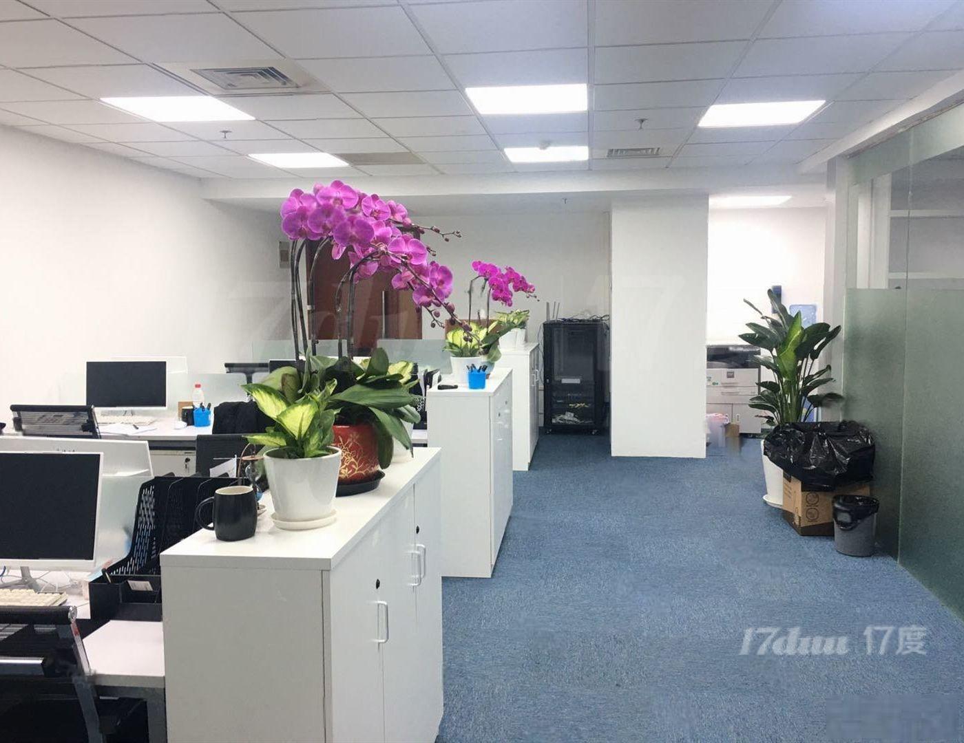 国企房源精装修带家具，实拍全景，品质上乘，无遮挡采光，电梯口