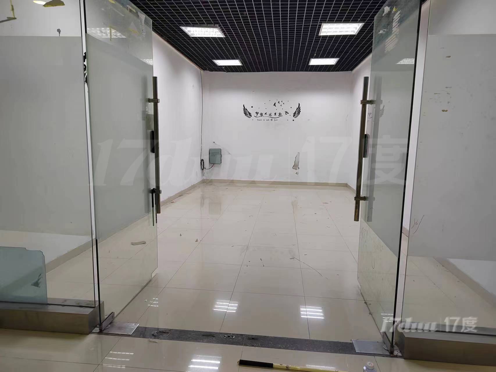 深圳平湖华南城地铁口商铺