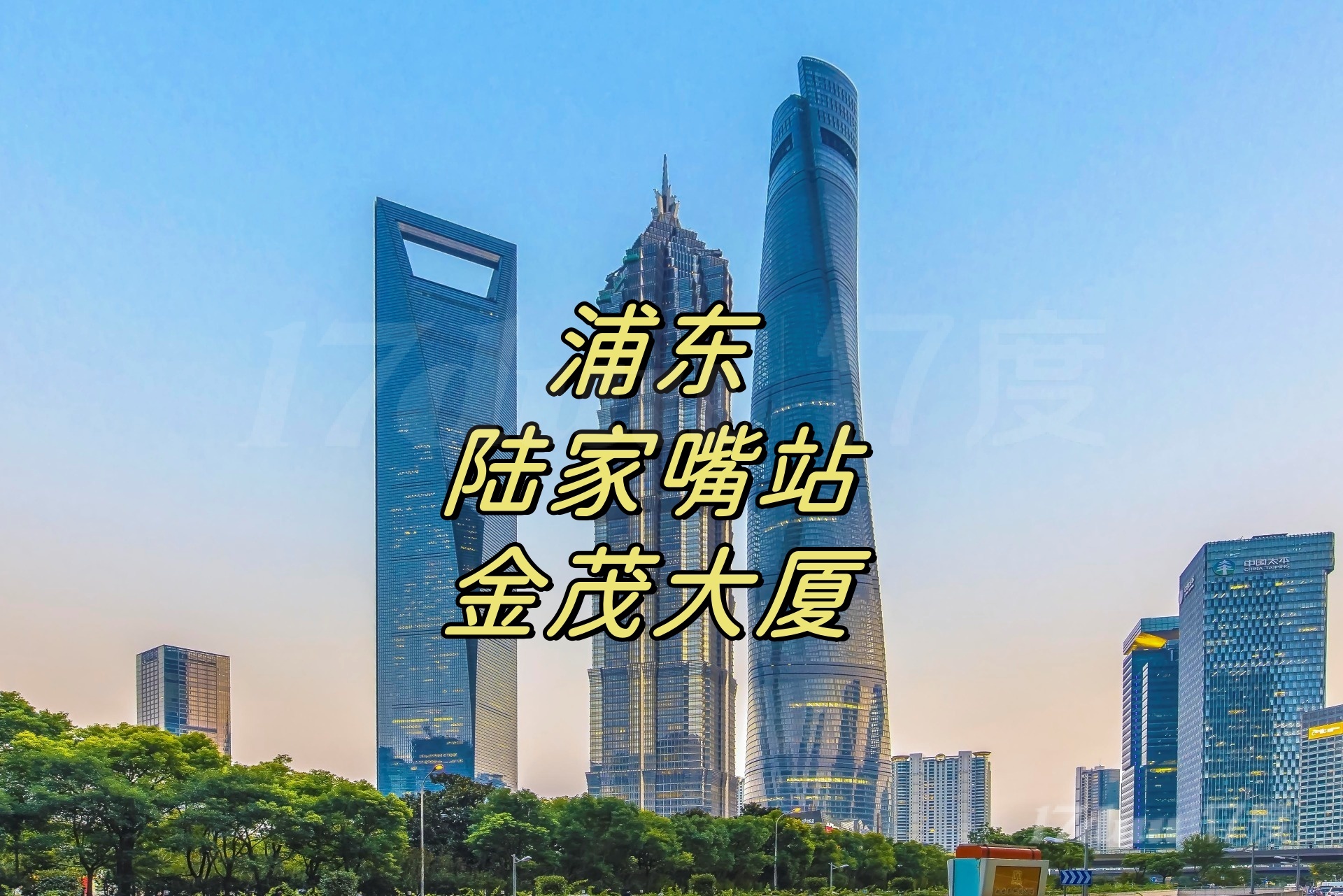 陆家嘴（金茂大厦）精装办公室出租