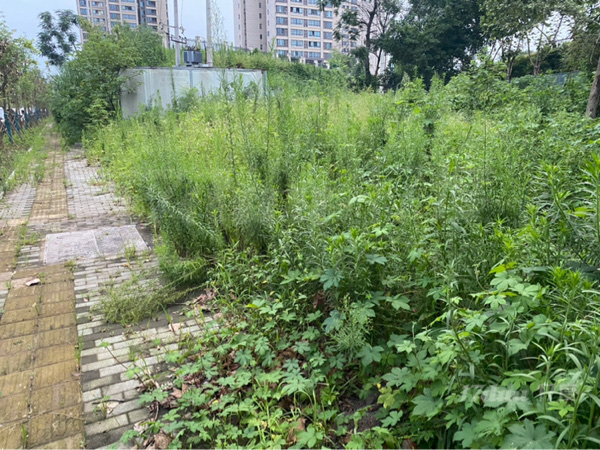 场地适合，能过环评项目的