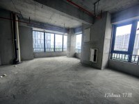 金龙湖电梯口旁115平纯办公高层南向写字楼