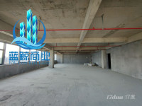 开发区金龙湖旁190平金峰大厦一手现房出售