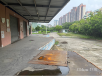 黄埔区永和标准高台仓招租