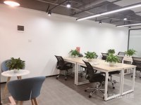 服务式办公室，省心省力，包水电网，带家私，拎包入住，即租即用