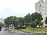 临港自贸区独栋厂房出租