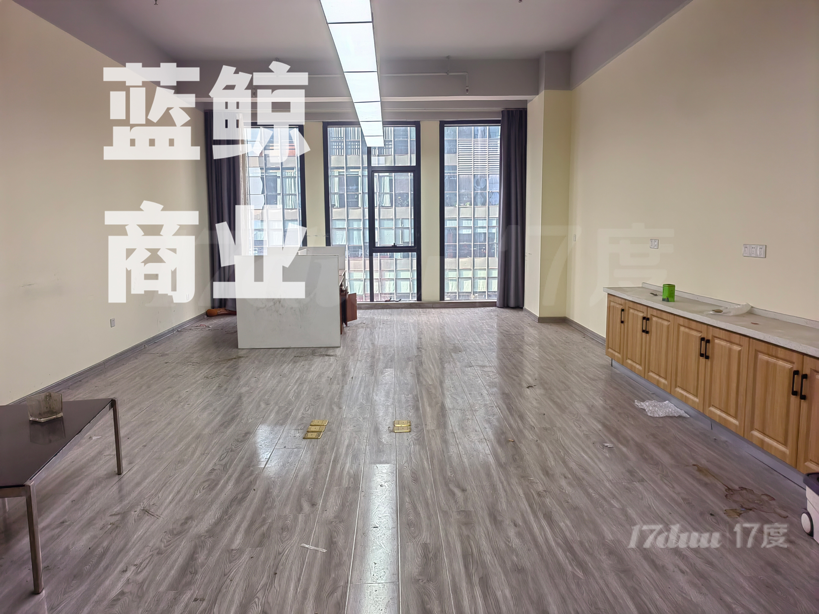 大龙湖绿地商务城蓝海，纯办公小户型，超低价