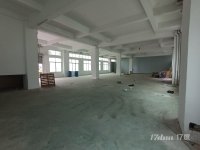 新出一楼500平
