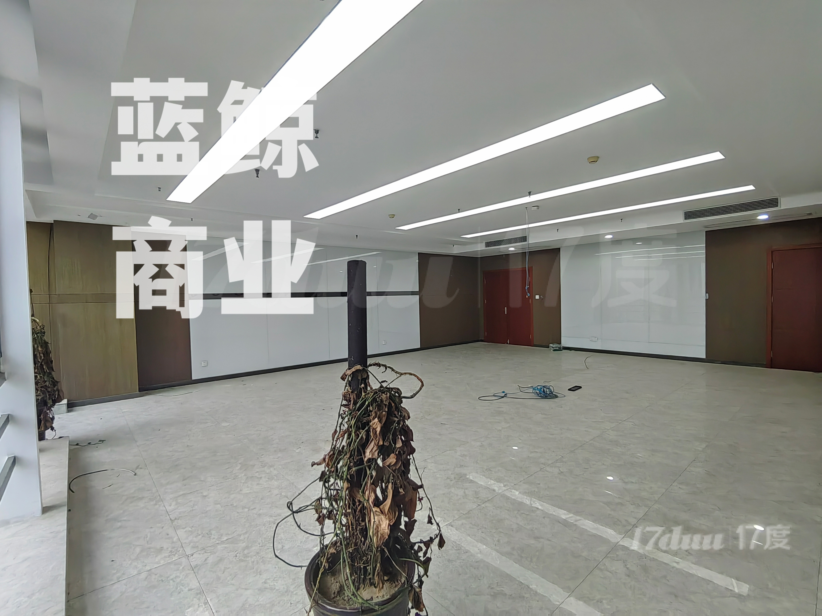 绿地商务城蓝海120平大通间，隔断随便做