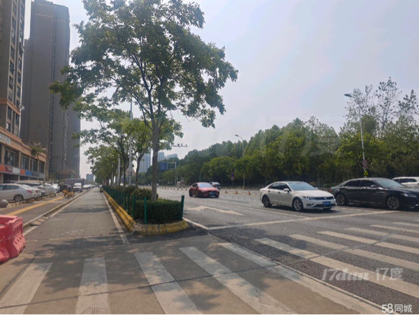 观澜高尔夫底商房东直租